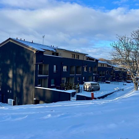 Lucni Apartmany Dobromysl A Laskavec Černý Důl Exterior foto