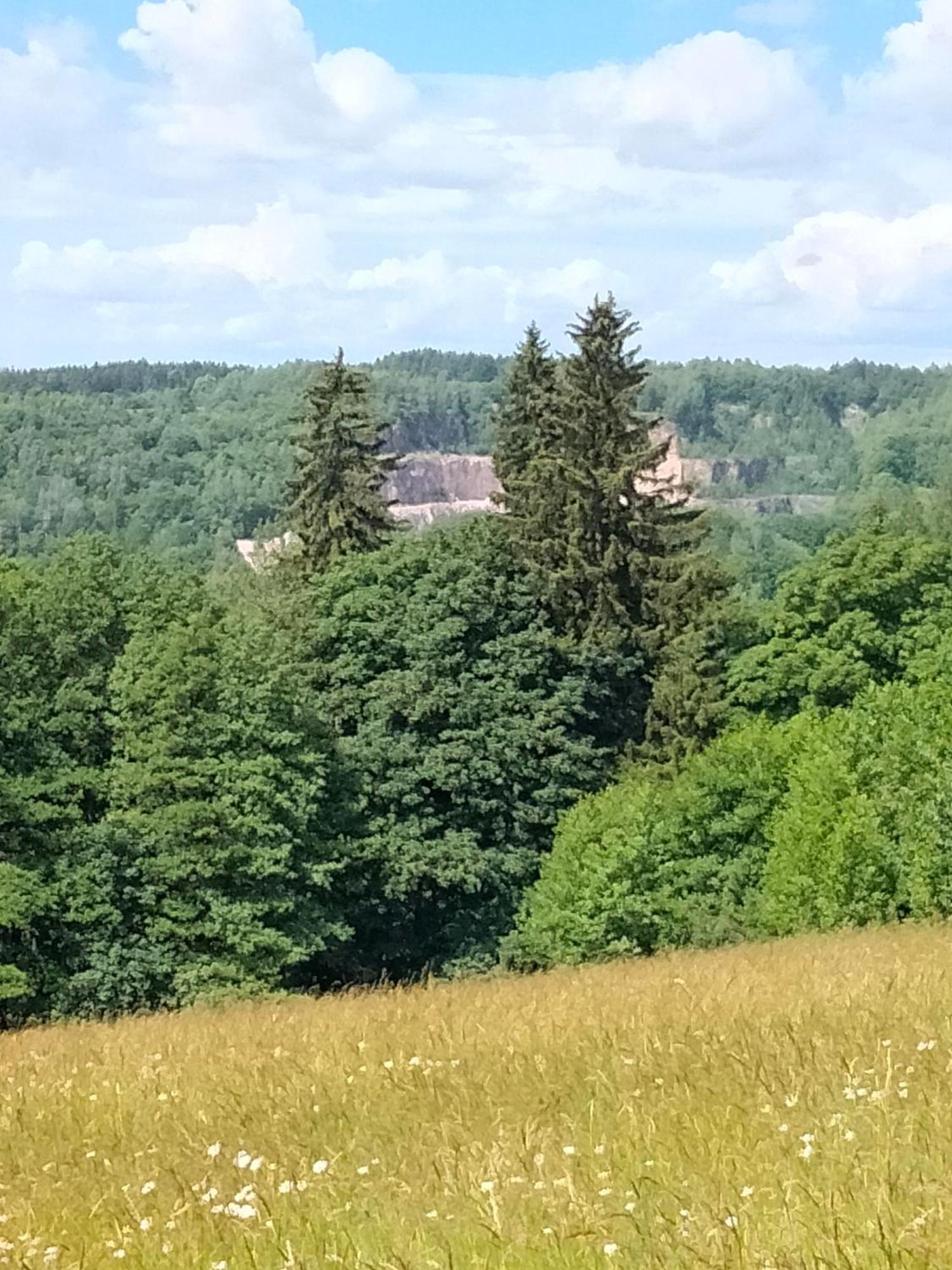 Lucni Apartmany Dobromysl A Laskavec Černý Důl Exterior foto